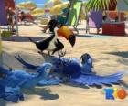 Ρίο την ταινία με τρεις από τους πρωταγωνιστές του: η αρά Blu, Jewel και η Tucan Rafael στην παραλία